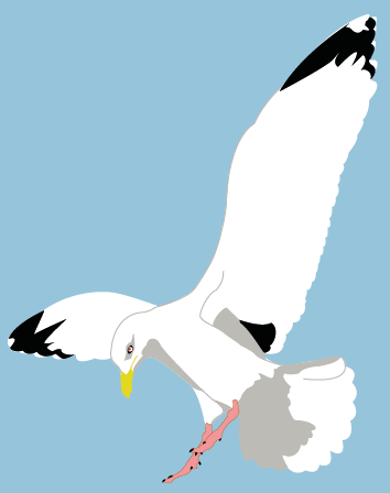 seagull, a character for a flash player game